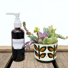 Engrais bio pour succulentes