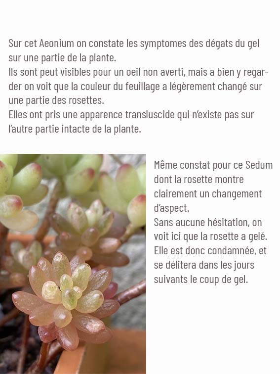 IMG_4303 copie2_1.jpg