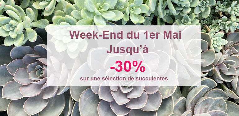 promo 1er Mai